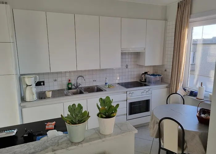 Cosy 3 Bedroom Near The T112 公寓 奥斯滕德